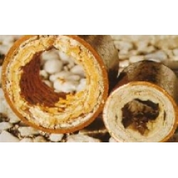 HL-CHEM B206: Hóa chất chống cáu cặn trong lò hơi